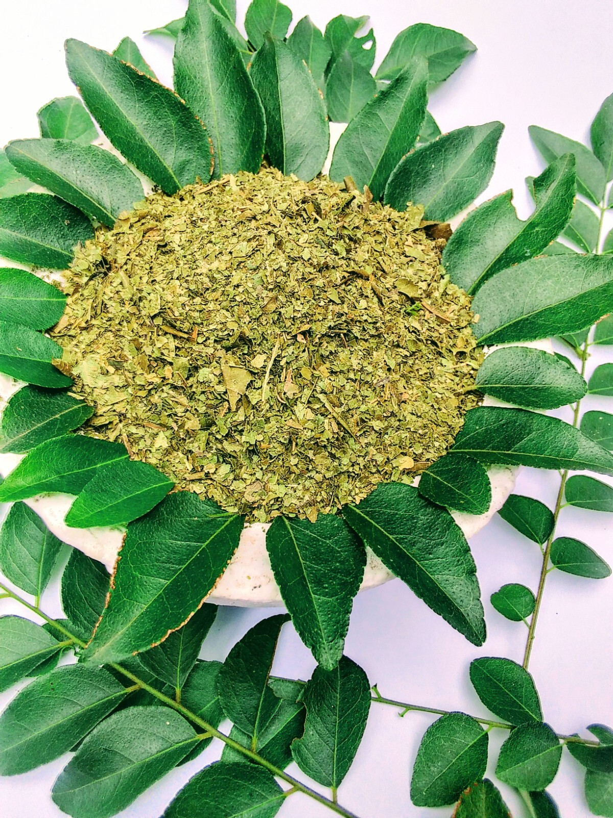 Curry Leaves Plant curry Leaf Fresh Kadi Patta Murraya Indian Organic Natural