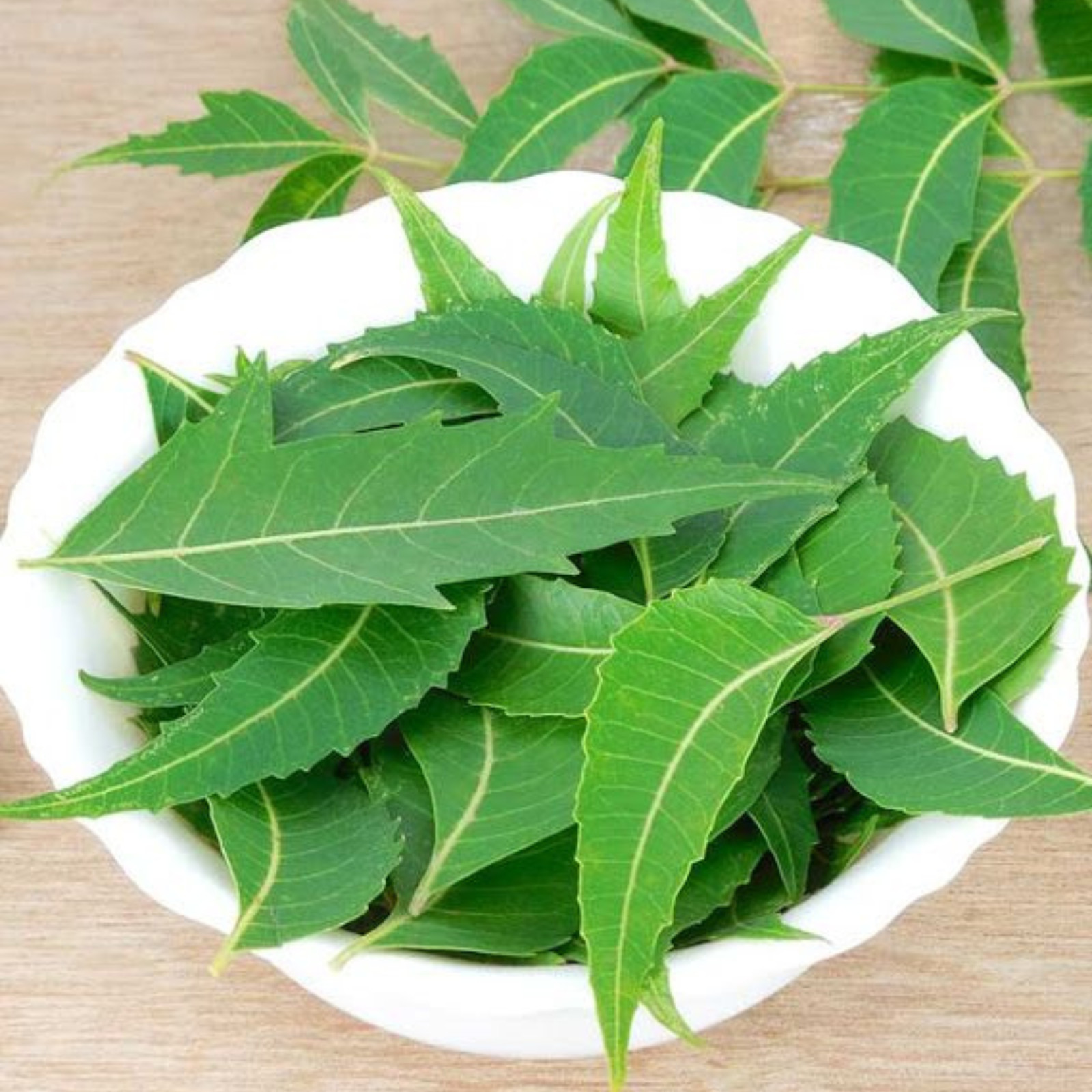 Ceylon Dried Neem Leaves Freshly Picked Organic Herbal Immune Boosting 500g