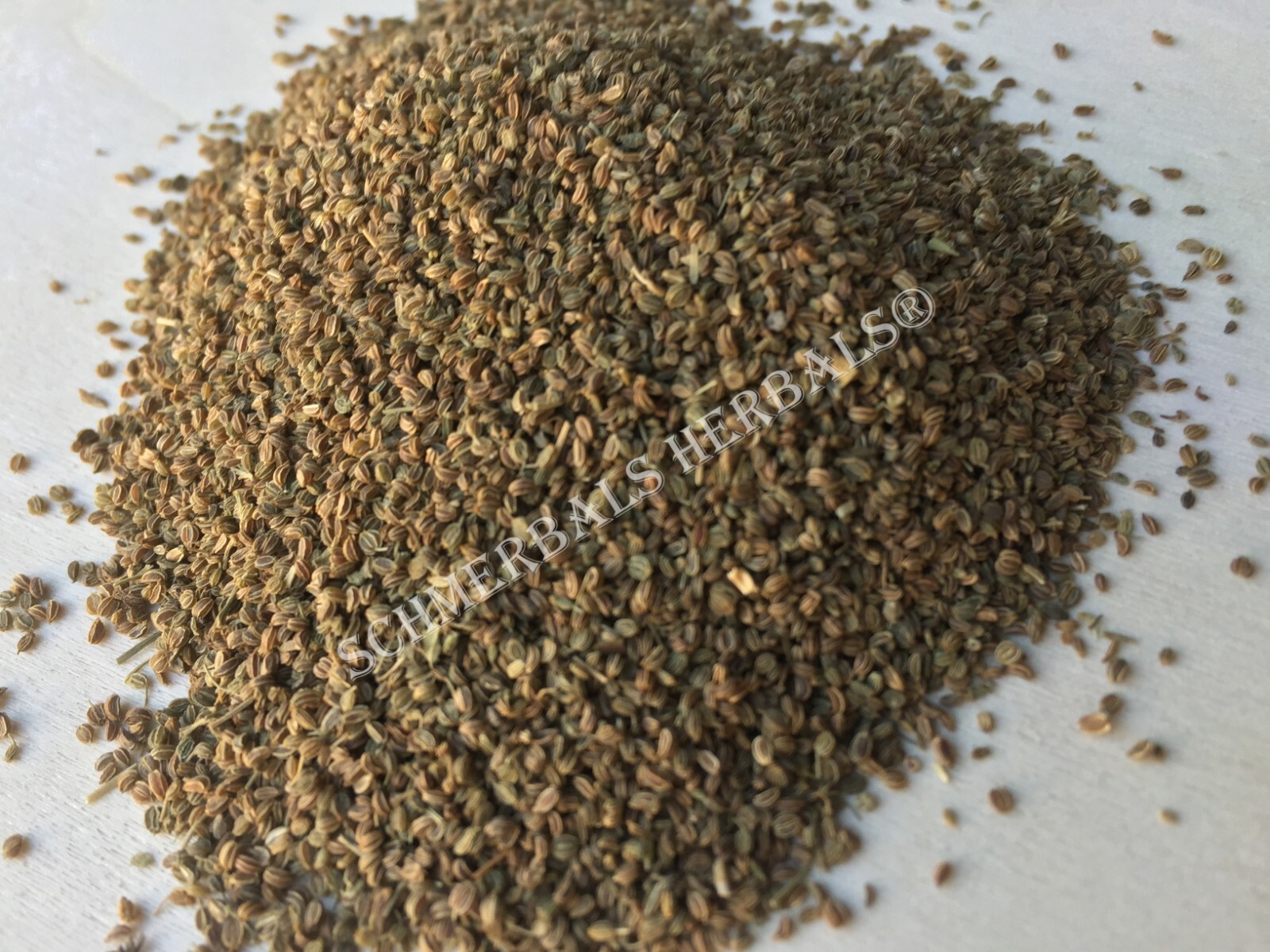 Celery Seed, Apium graveolens 1 oz Free Shipping ~ Schmerbals Herbals