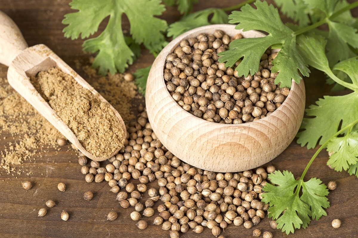 Herbal Coriander Natural Organic Spices free shipping 100% High Quality
