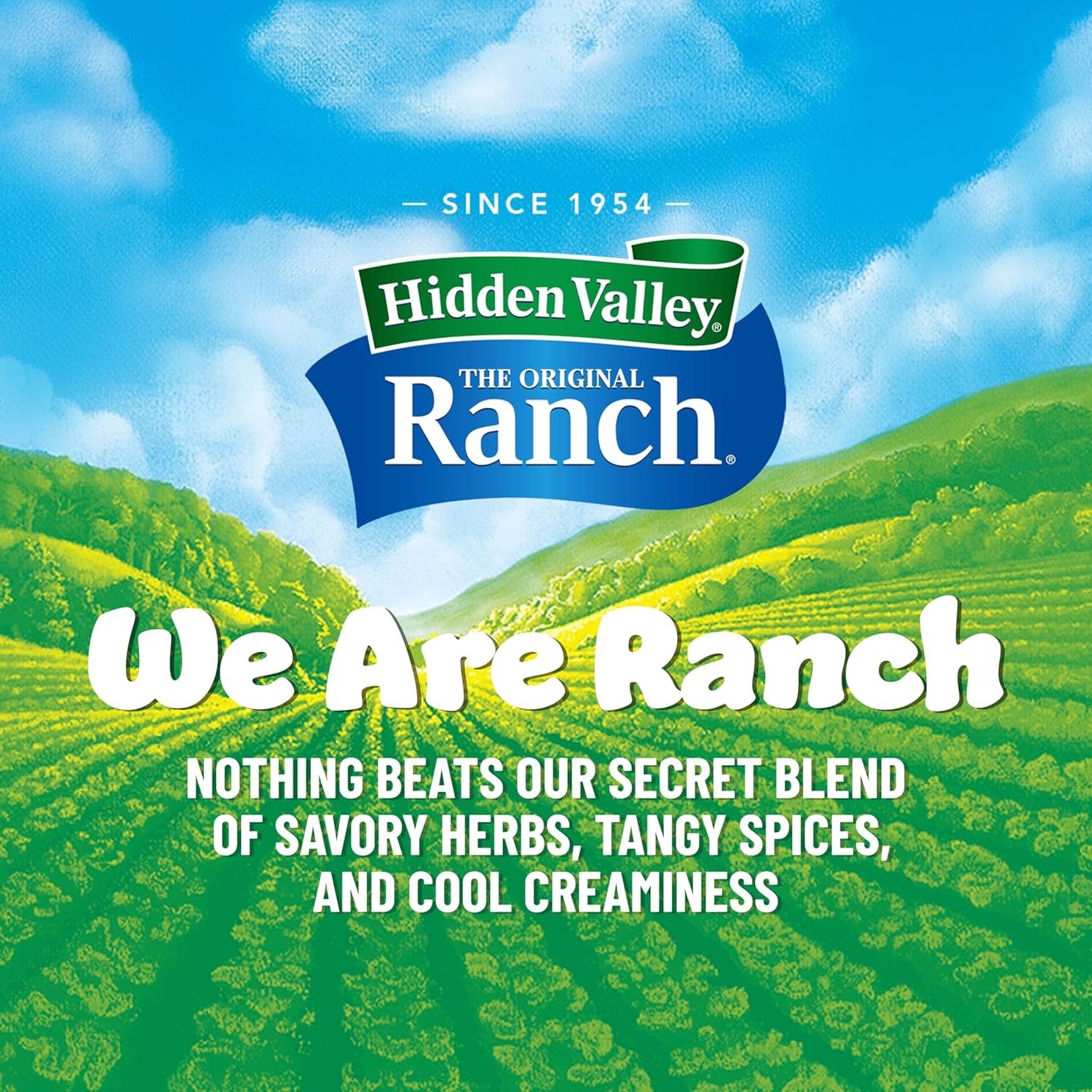 Hidden Valley Original Ranch Seasoning, Dressing and Dip Mix, 8 Ounces