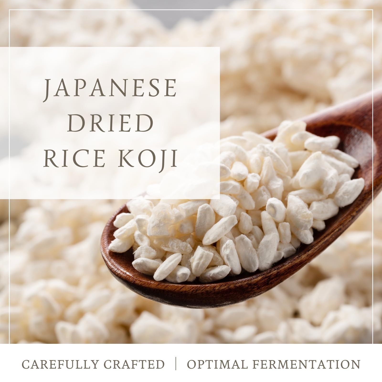 Premium Japanese Shio Koji – Gluten-Free Fermented Seasoning, Miso Marinade 17.6