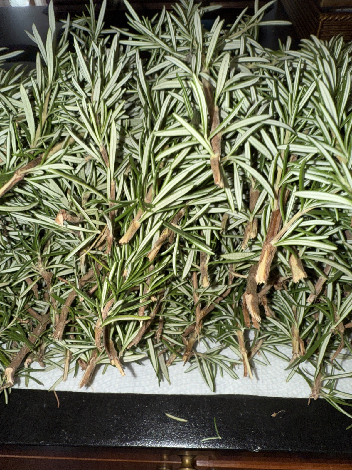 100 Stems Fresh Organic Rosemary, 100 Cuts Fresh To Order For $90.00,USA