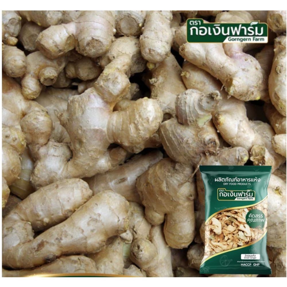 Dried Thai Ginger Slices Natural Herb Premium Tea Cooking Ingredient 100% Pure.
