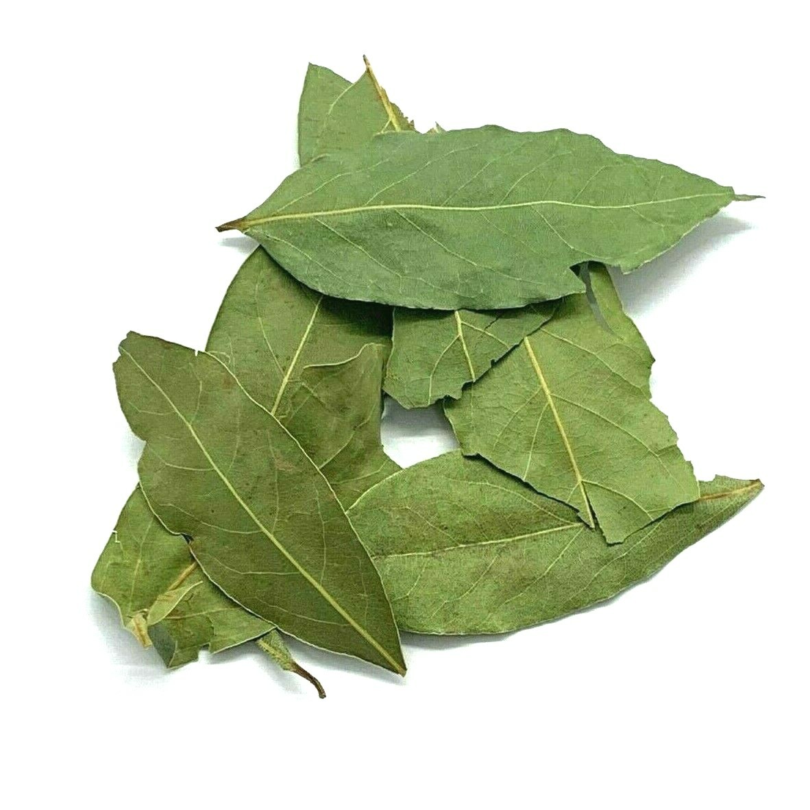 Bay Leaf | Organic Pure Fresh Premium Quality Laurus Nobili’s Palestinian Herbs