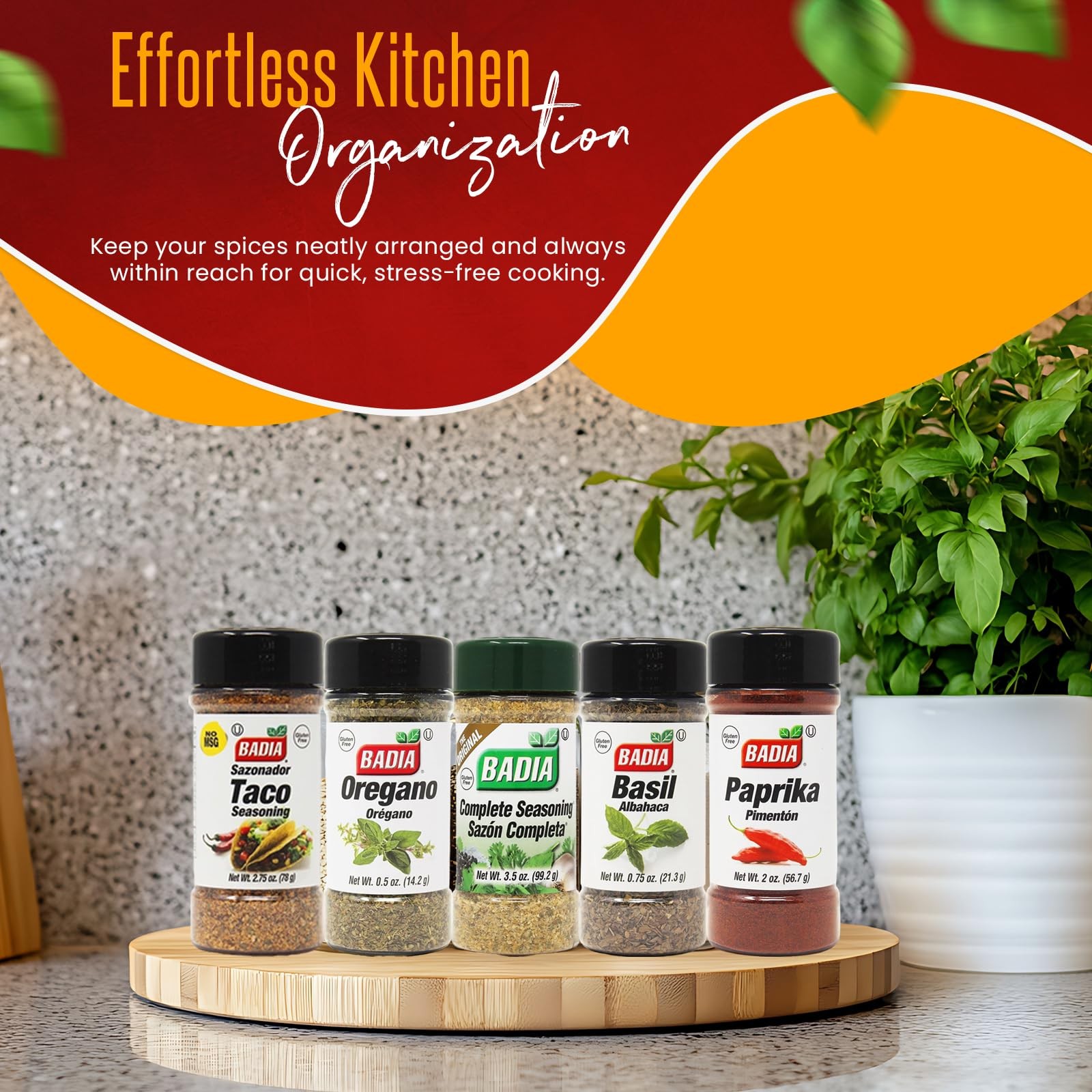 Spices and Seasonings Set – 12 Piece Spice Gift Set Plus Measuring Spoon