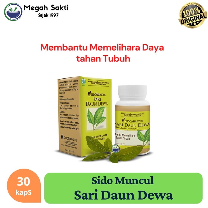 Sari Daun Dewa Herbal 30 Capsules Natural Botanical Wellness Support