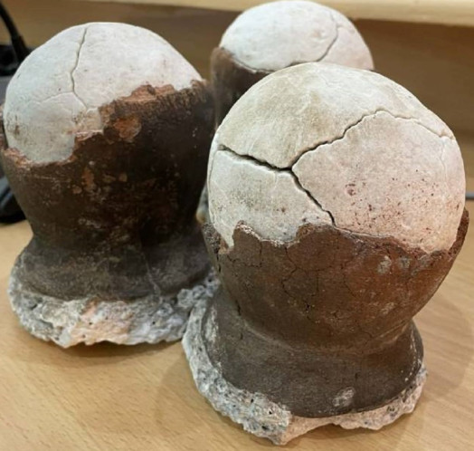 ASIN TIBUOK / Original Dinosaur Egg Artisinal Salt from Bohol, Philippines
