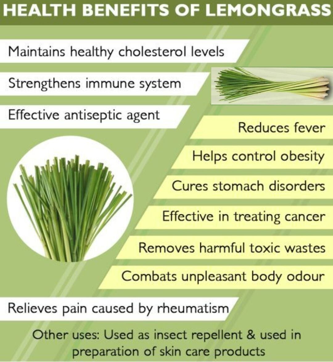 2 oz Lemongrass Dried Ceylon Cut Leaves Herbal Organic Pure Natural Quality