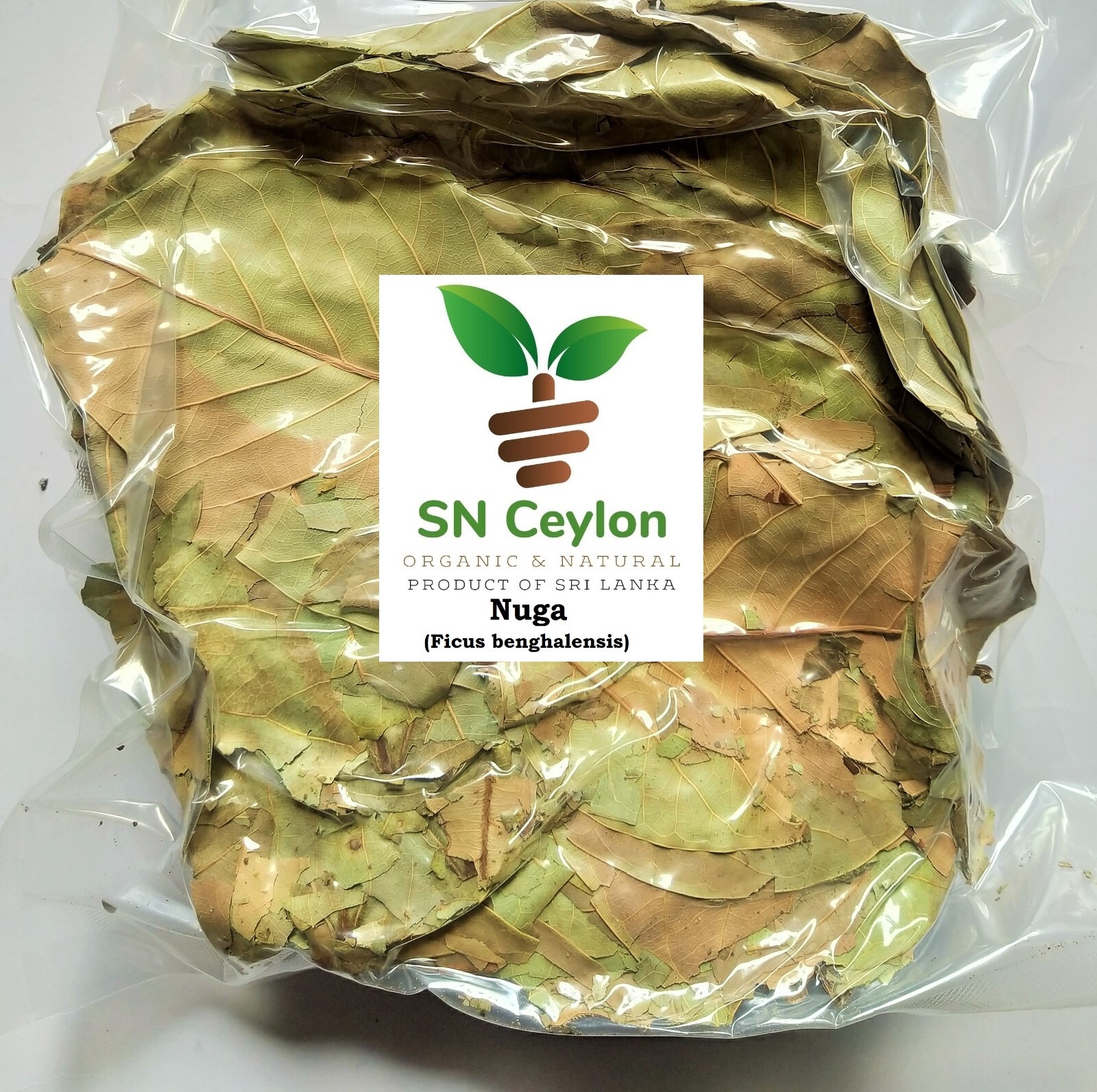 Ficus benghalensis Dried Nuga Banyan Bengal Flag Organic Non-GMO Herb 3.5-26oz